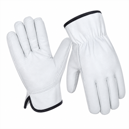Leather Driver Gloves